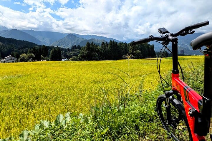 E-Bike Yuzawa: Lake Daigenta, Rice Terraces & Mountain Views photo 6
