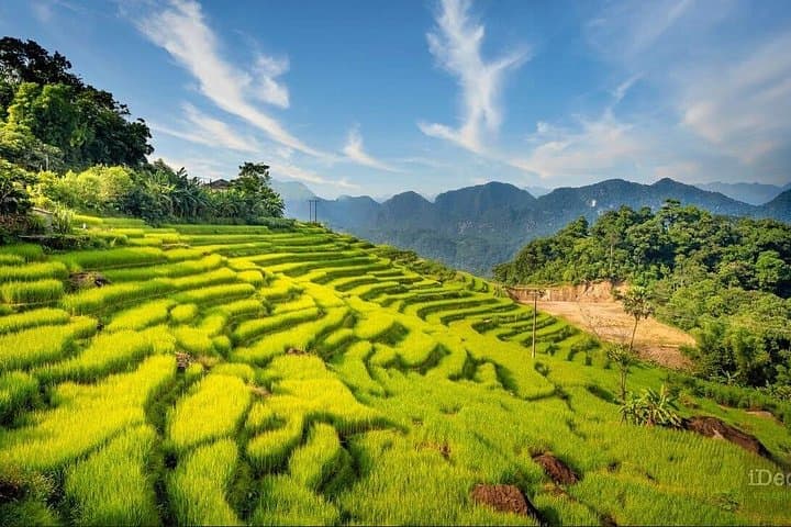 Pu Luong & Ninh Binh 3-Day Trek: Rice Terraces, Bamboo Rafting and Mua Cave Views photo 1