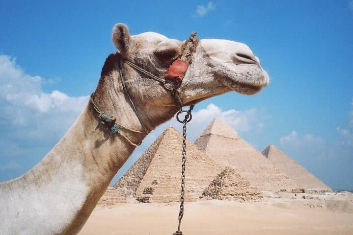 Explore Giza: Cairo VIP Private Pyramids & Sphinx Tour