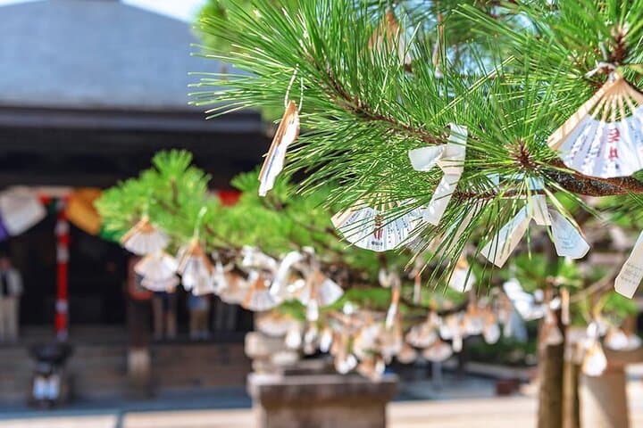 Private Kyoto & Nara Family Tour — Bamboo Grove, Fushimi Inari & Nara Deer photo 3