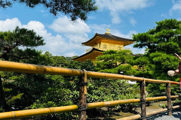 Private Kyoto & Nara Family Tour — Bamboo Grove, Fushimi Inari & Nara Deer photo 4