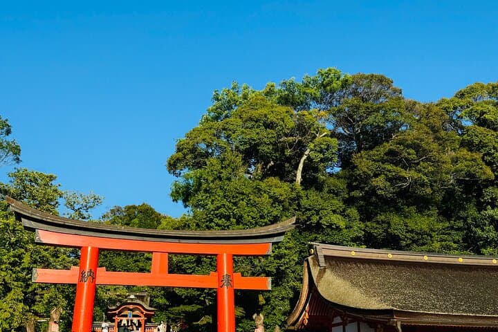 Private Kyoto & Nara Family Tour — Bamboo Grove, Fushimi Inari & Nara Deer photo 6