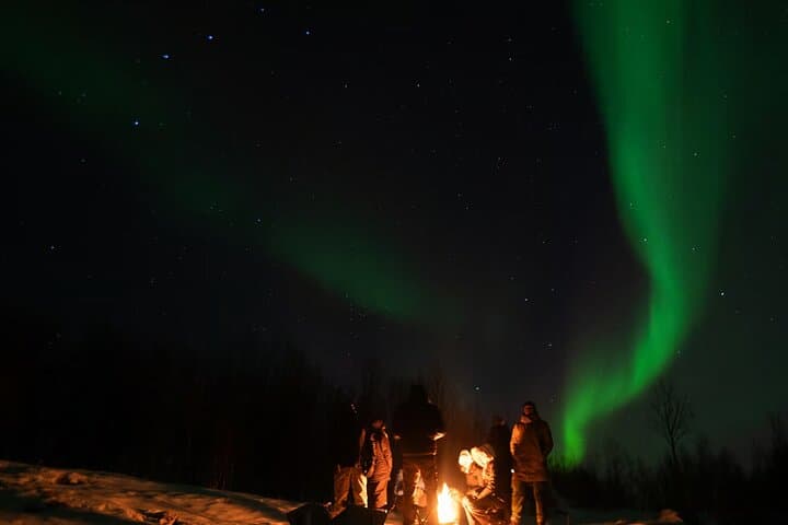Tromsø Northern Lights Hunt: Small-Group Arctic Aurora Chase photo 5