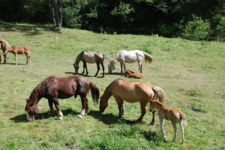 Self-Drive Hiking Adventure in the Spanish Pyrenees — 7-Day Scenic Hikes & Rafting photo 4