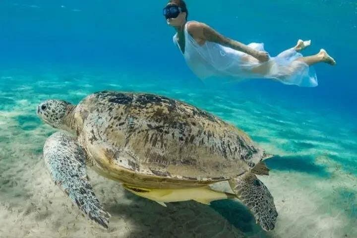 Marsa Mubarak Snorkeling Adventure from Marsa Alam — Full-Day Red Sea Trip photo 2