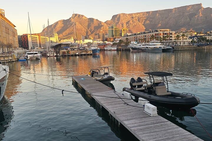 Cape Town Ocean Safari: 1-Hour Marine Wildlife Cruise from V&A Waterfront photo 6