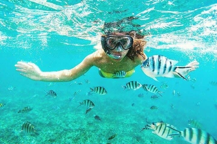 Mnemba Island Snorkeling & Wild Dolphin Morning Trip