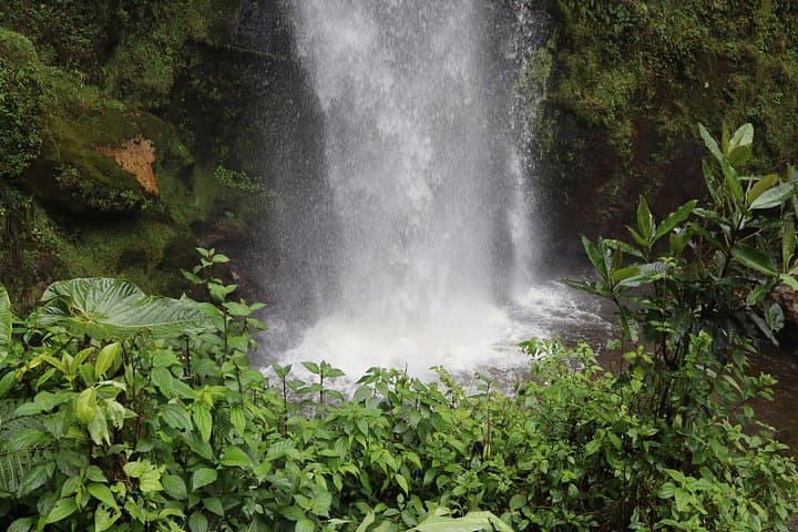 Hike to La Chorrera: Colombia's Tallest Waterfall Day Trip from Bogotá