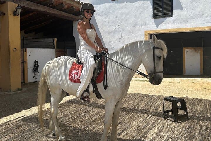 Private Horseback Riding and Tapas Picnic in Penedès from Barcelona photo 6