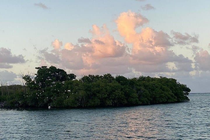 Salt River Bay Guided Kayak Tour: Ecology, Taino History & Mangroves photo 2
