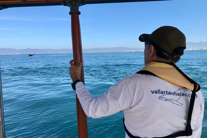 Puerto Vallarta Whale Watching: Humpback Encounters in Banderas Bay photo 2