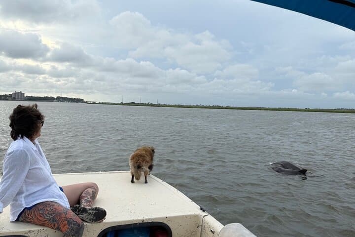 Savannah Dolphin & Shark-Tooth Beach Private Eco Tour photo 2