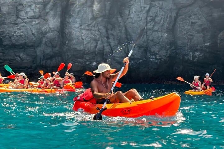 Paddling Tenerife's Marine Reserve: Kayak, Snorkel & Wildlife Encounters photo 1