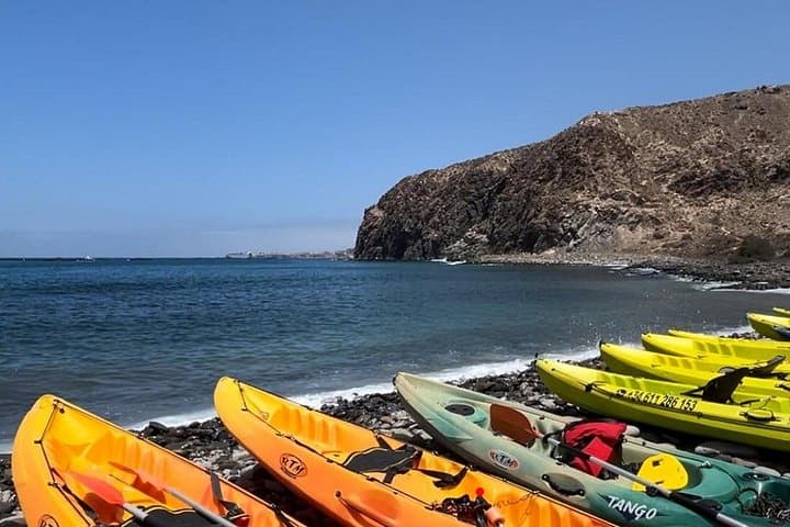 Paddling Tenerife's Marine Reserve: Kayak, Snorkel & Wildlife Encounters photo 4