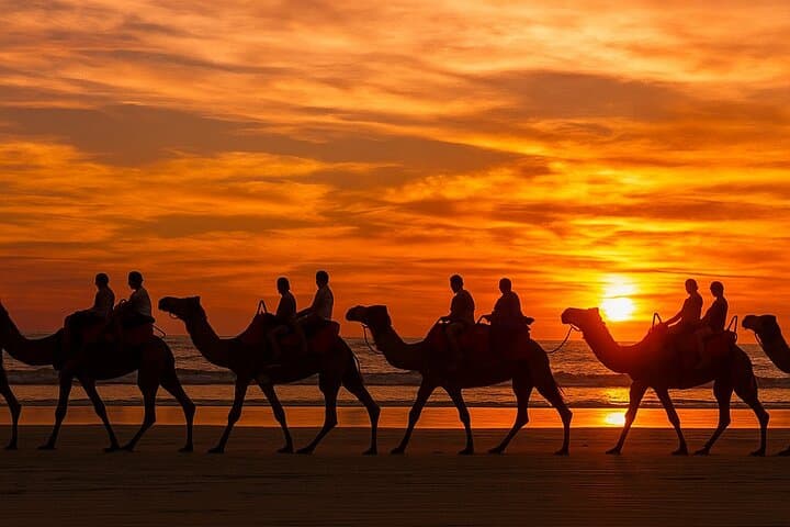 Sunset on Timlalin Dunes: Camel Rides & Sandboarding from Agadir photo 5