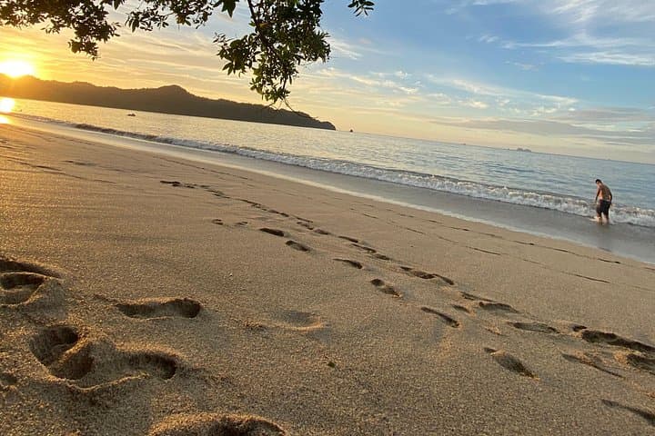Private Day Trip from San José to Manuel Antonio National Park — Beaches, Wildlife & Guided Walk photo 1