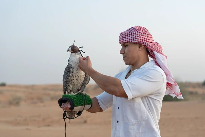 57 Camel Voyage: Dubai Desert Experience with Camel Trek & Falconry photo 6