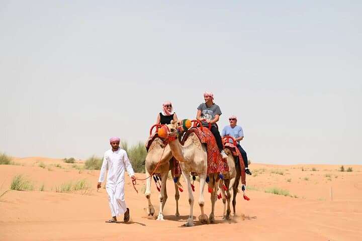 57 Camel Voyage: Dubai Desert Experience with Camel Trek & Falconry