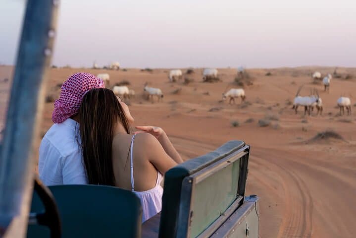 Dubai Desert Dune Bashing and Heritage Safari in the Conservation Reserve photo 4