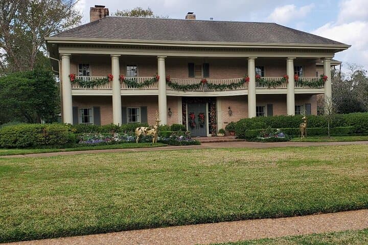 Driving River Oaks Holiday Lights: 2-Hour Evening Tour in Houston