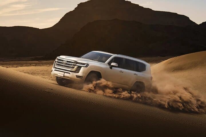 Dubai Desert Dune Bashing and Heritage Safari in the Conservation Reserve