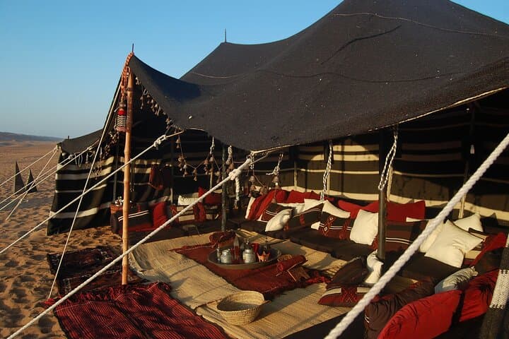 Sinai Desert Quad Biking & Bedouin Camel Ride from Sharm el-Sheikh photo 6