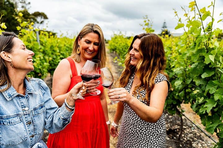 Hawke’s Bay Wine Tour: Gimblett Gravels, Te Mata & Coastal Chardonnay in 6 Hours
