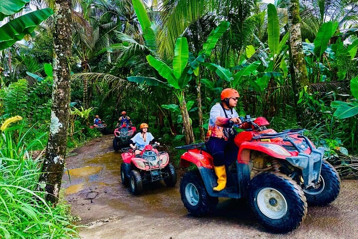 Bali Ubud Gorilla ATV Adventure: 90-Minute Off-Road Ride with Meal photo 3