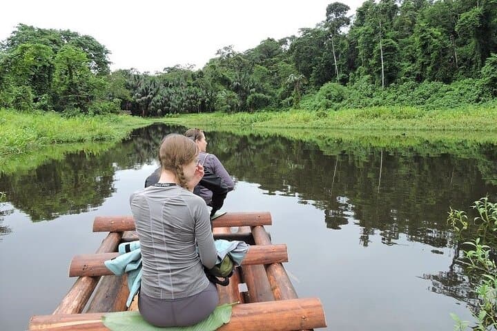 3-Day Amazon Jungle Tour from Cusco — Manu Rainforest, River Boat & Wildlife Lodge photo 3