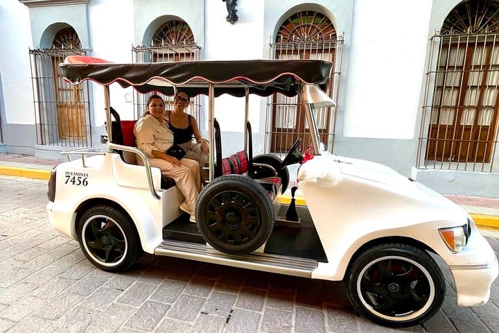 Mazatlán Pulmonía Experience: Historic Malecón & Old Town Driving Tour photo 6