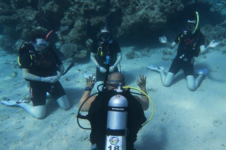 PADI Open Water Diver Course in Sharm el-Sheikh — 3-Day Red Sea Certification photo 2