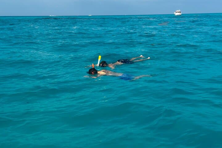 Luxury Snorkeling in Cancun: MasterCraft X-Star 2-Hour Small-Group Tour photo 3