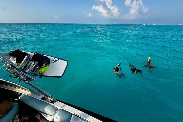 Luxury Snorkeling in Cancun: MasterCraft X-Star 2-Hour Small-Group Tour photo 5