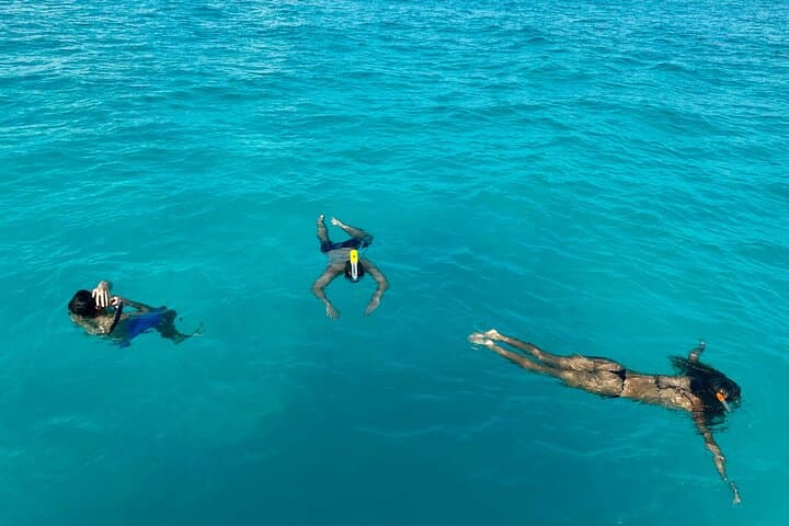 Luxury Snorkeling in Cancun: MasterCraft X-Star 2-Hour Small-Group Tour photo 2