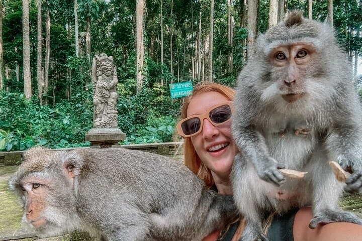 Ubud Day Tour: Monkey Forest, Tirta Empul & Tegalalang Rice Terraces — Waterfalls, Temples & Culture photo 4
