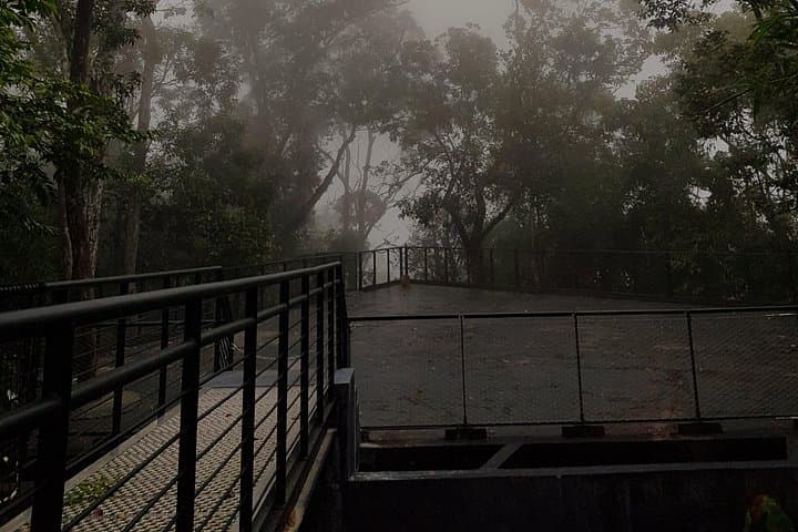 Private Chulia Street & Penang Hill Tour — Kek Lok Si, Funicular & Nyonya Kuih Tasting photo 4