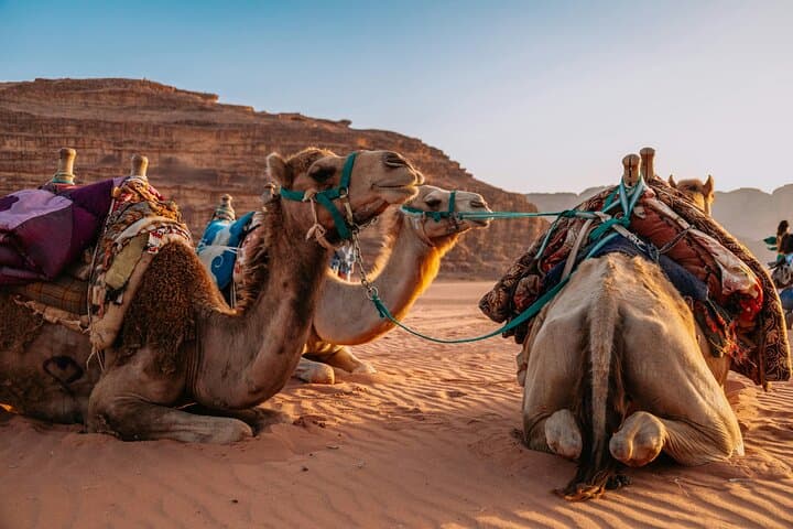 Agafay Desert Sunset Camel Ride and Dinner Show from Marrakech