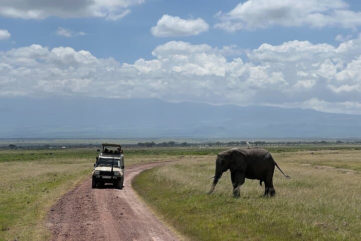 3-Day Amboseli Safari: Game Drives with Kilimanjaro Views