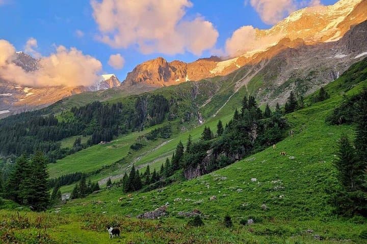 Hike and Fly Lauterbrunnen — Mürren Alpine Paragliding & Full-Day Guided Hike photo 5