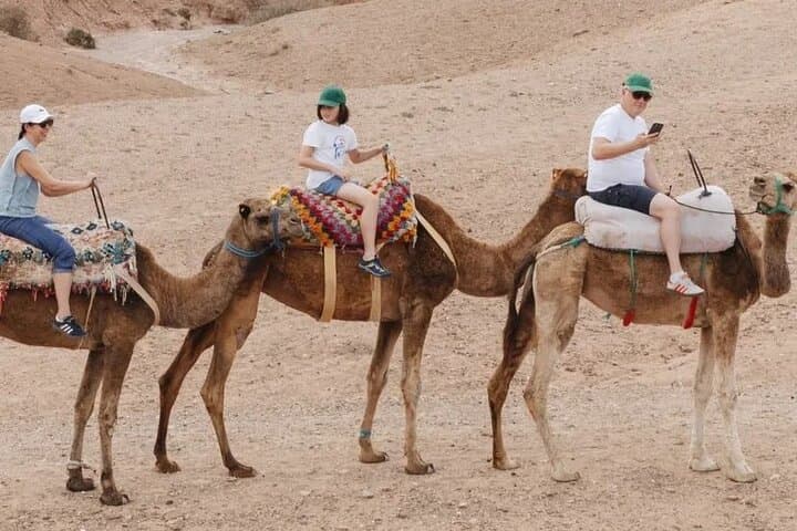 Agafay Desert Camel Ride & Quad Biking with Dinner and Berber Show — Marrakech Day Trip