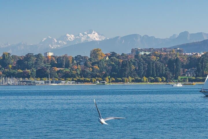 Full-Day Swiss Alps Highlights from Geneva: Private Alpine Tour photo 3