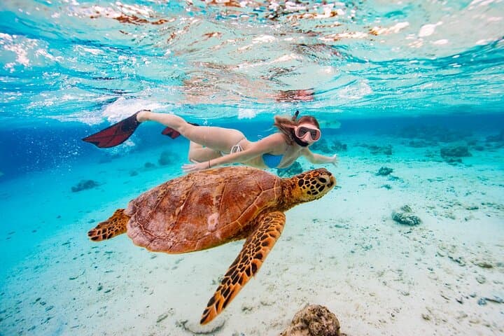 Swim With The Turtles in Rarotonga: Guided Snorkel at Muri Lagoon photo 6