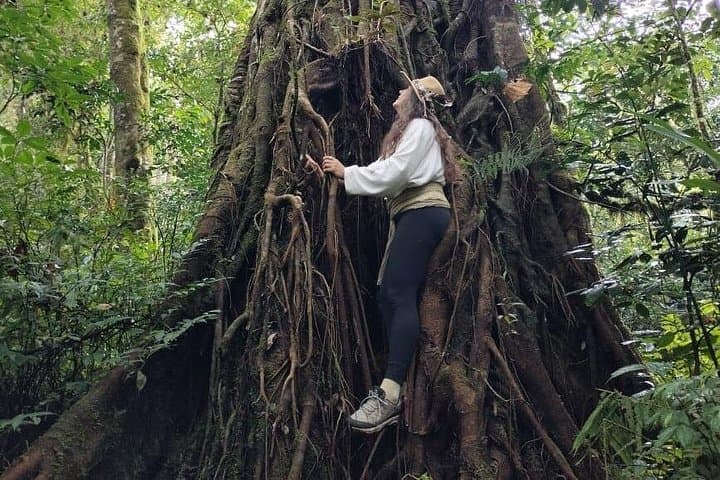 Tamblingan Jungle Trek & Canoe: Lake Trek to Banyumala Waterfall in Bali photo 5