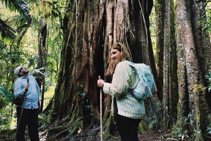 Tamblingan Jungle Trek & Canoe: Lake Trek to Banyumala Waterfall in Bali