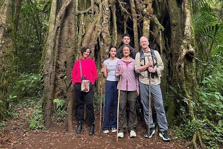 Tamblingan Jungle Trek & Canoe: Lake Trek to Banyumala Waterfall in Bali photo 4