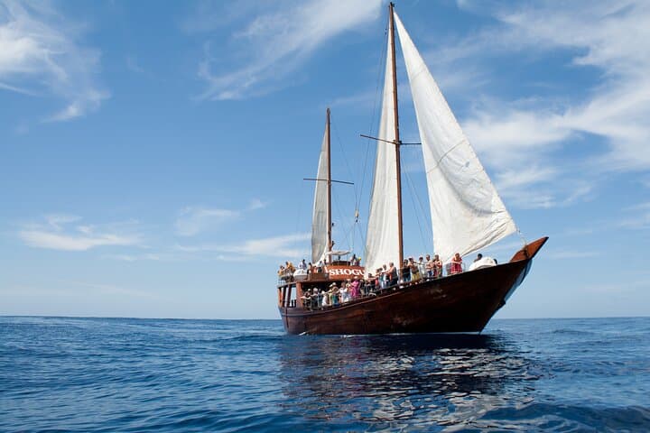 Whale Safari to Los Gigantes: 5-Hour Schooner Cruise with Swim & Lunch photo 2