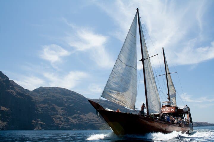 Whale Safari to Los Gigantes: 5-Hour Schooner Cruise with Swim & Lunch photo 3