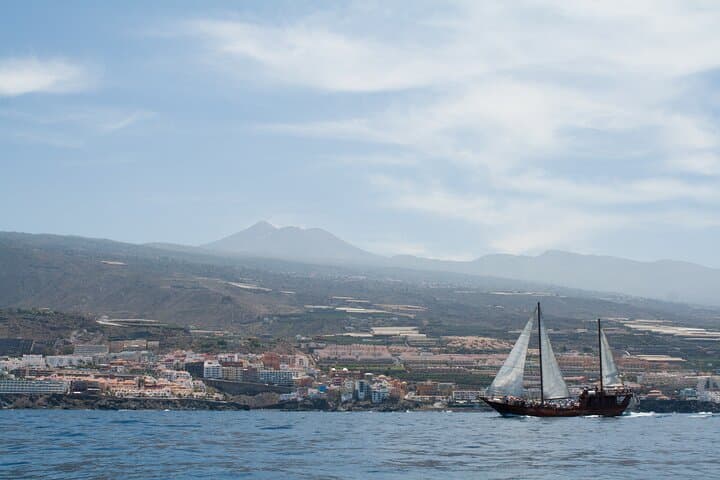 Whale Safari to Los Gigantes: 5-Hour Schooner Cruise with Swim & Lunch photo 4
