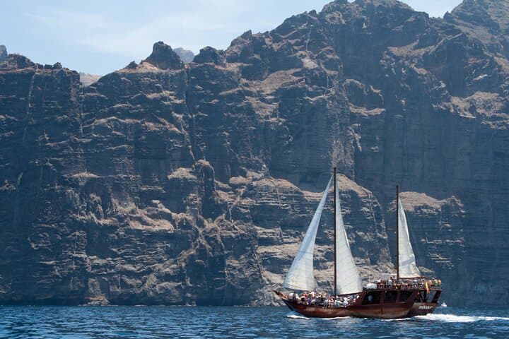 Whale Safari to Los Gigantes: 5-Hour Schooner Cruise with Swim & Lunch photo 6