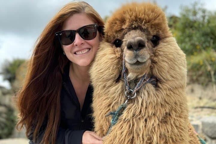 Cotopaxi and Quilotoa: One-Day Volcano and Crater Lake Adventure from Quito
